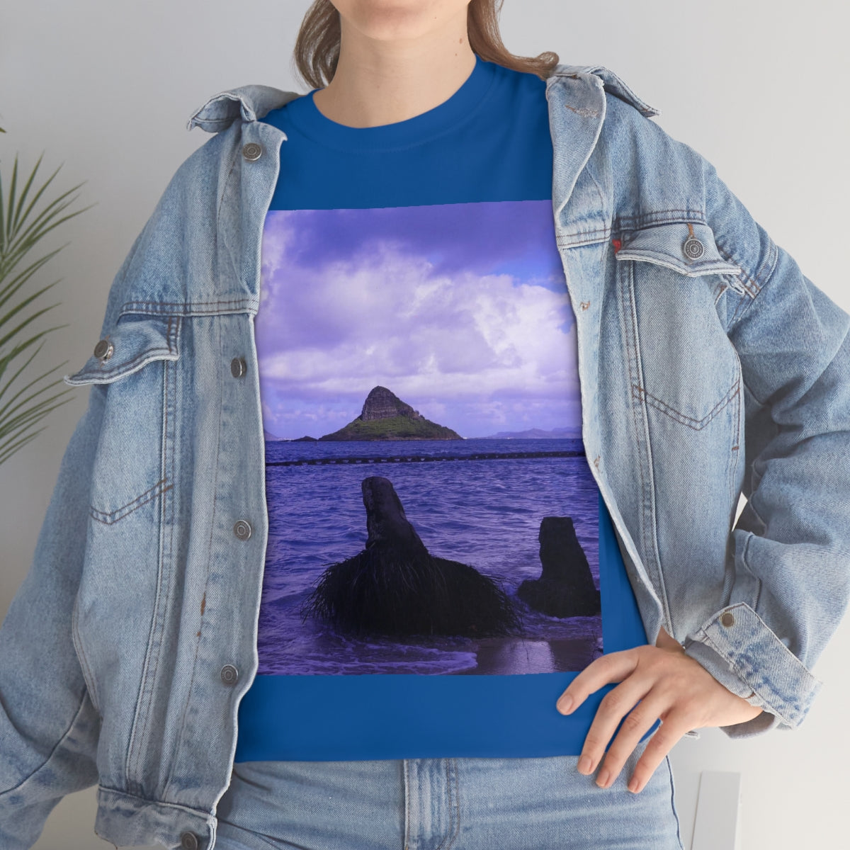 Wade To Chinaman's Hat - Unisex Heavy Cotton Tee - Fry1Productions