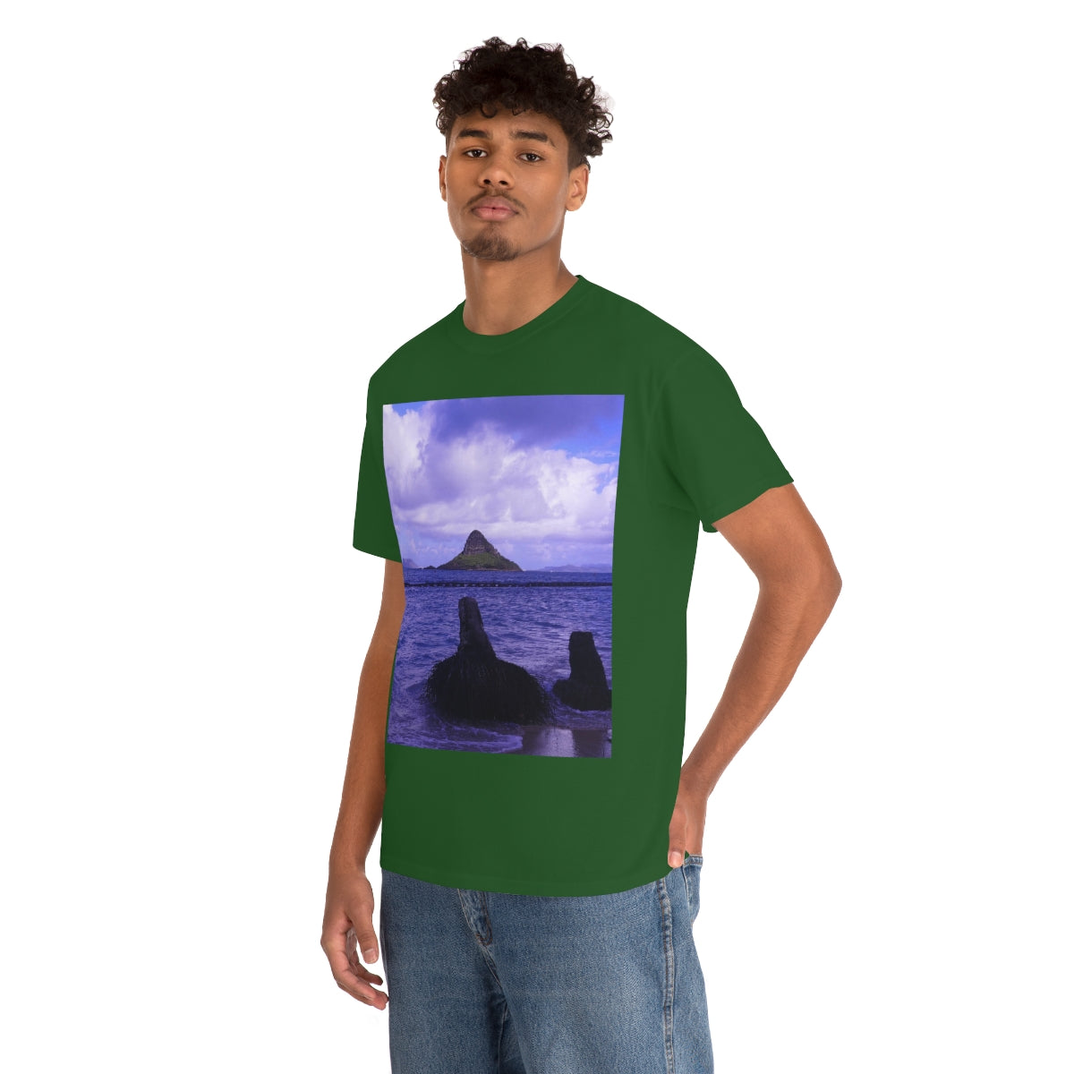 Wade To Chinaman's Hat - Unisex Heavy Cotton Tee - Fry1Productions