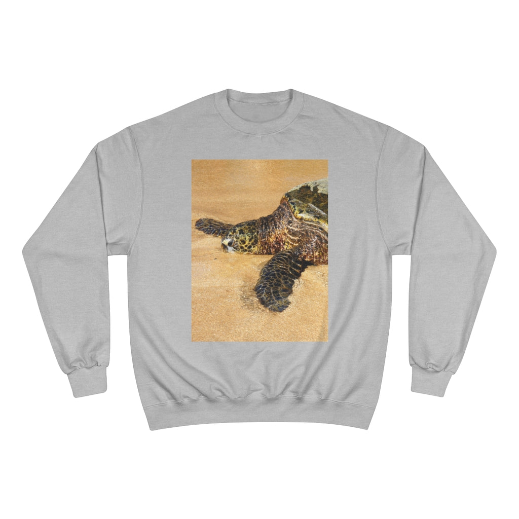 Glistening Journey - Champion Sweatshirt - Fry1Productions