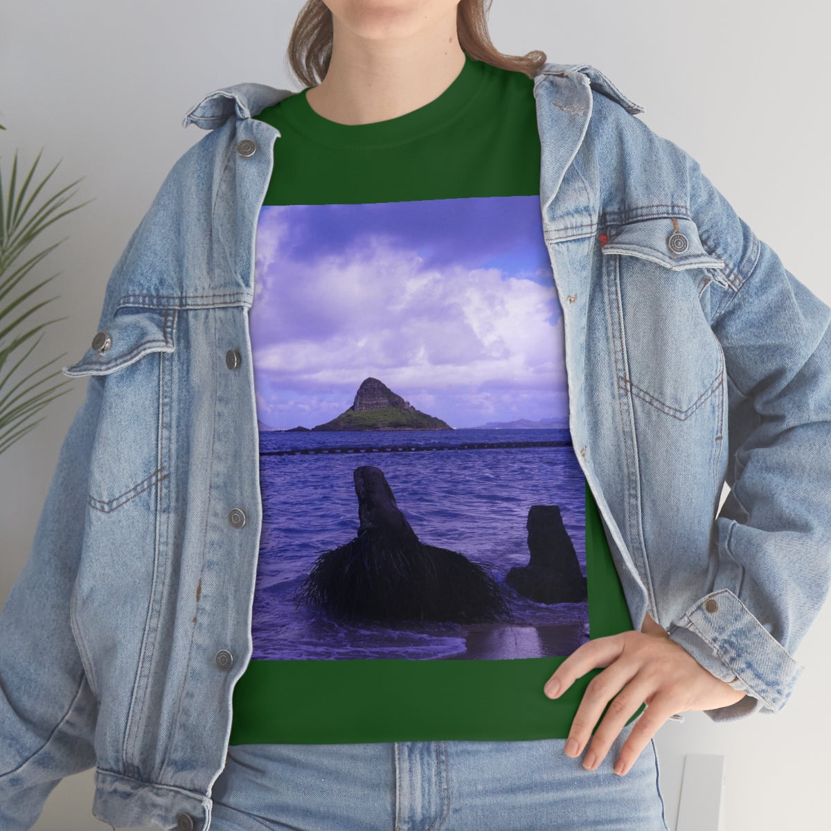 Wade To Chinaman's Hat - Unisex Heavy Cotton Tee - Fry1Productions