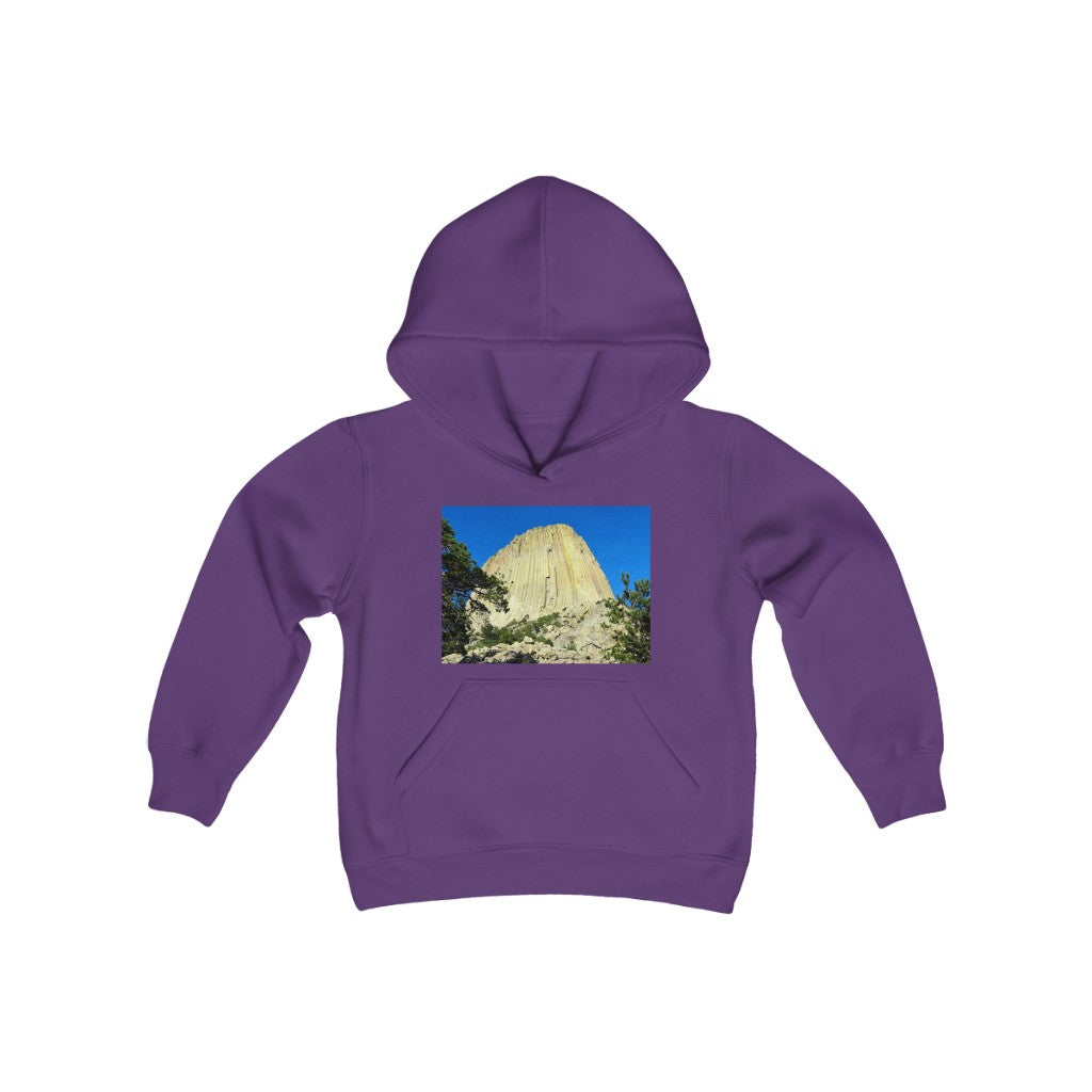 "Reaching Heaven" - Youth Heavy Blend Hooded Sweatshirt - Fry1Productions