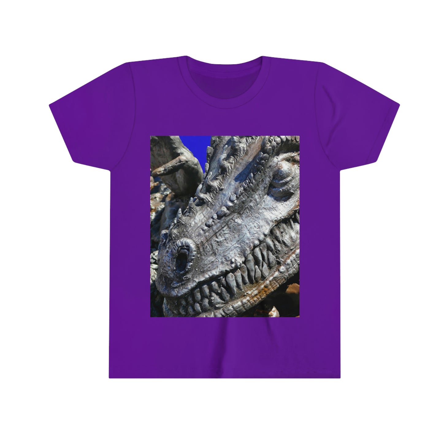 Delectable Vision - Youth Short Sleeve Tee - Fry1Productions
