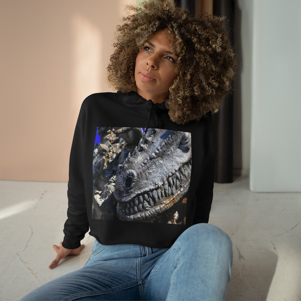 Delectable Vision - Crop Hoodie - Fry1Productions