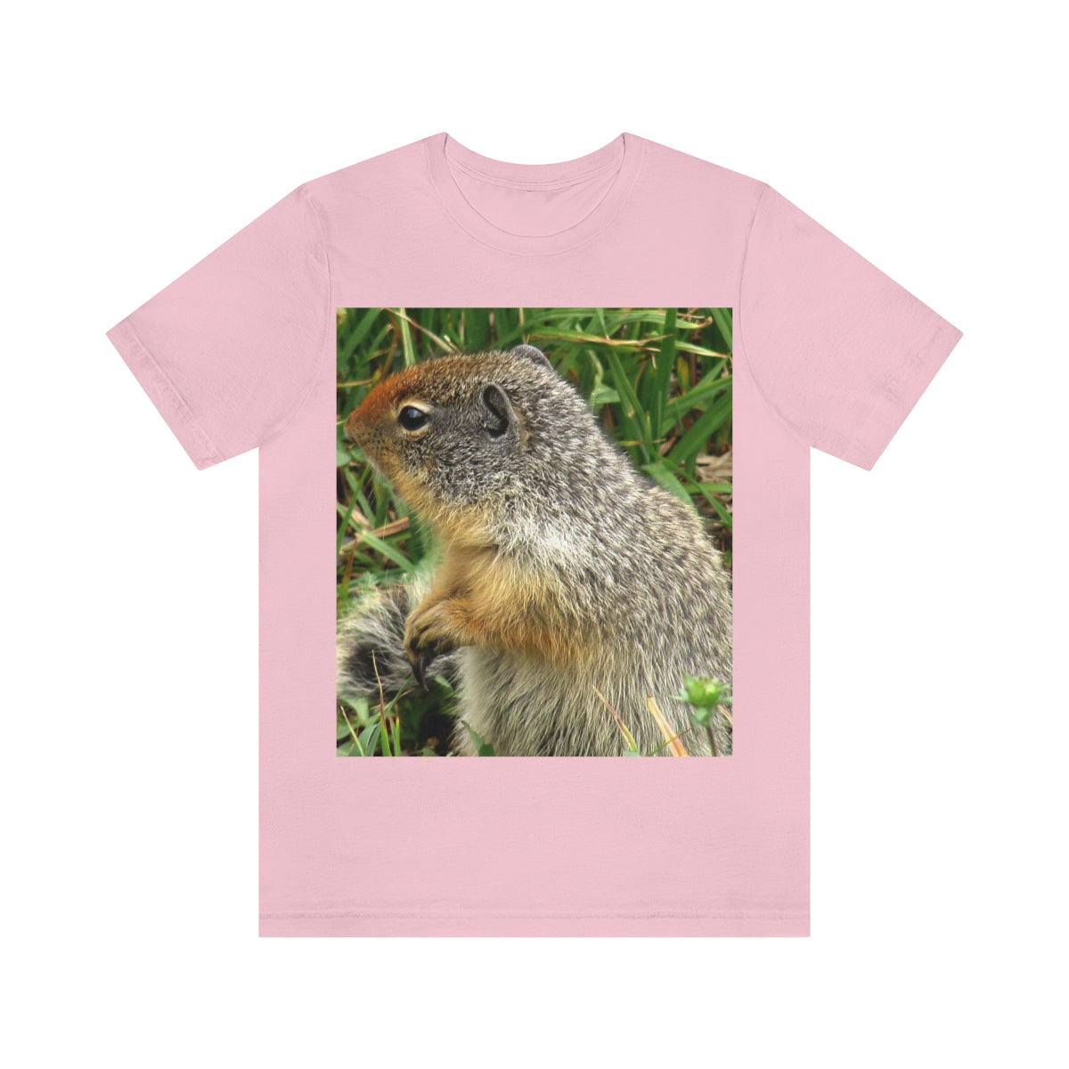 Inquisitive Stare - Unisex Jersey Short Sleeve T-Shirt - Fry1Productions