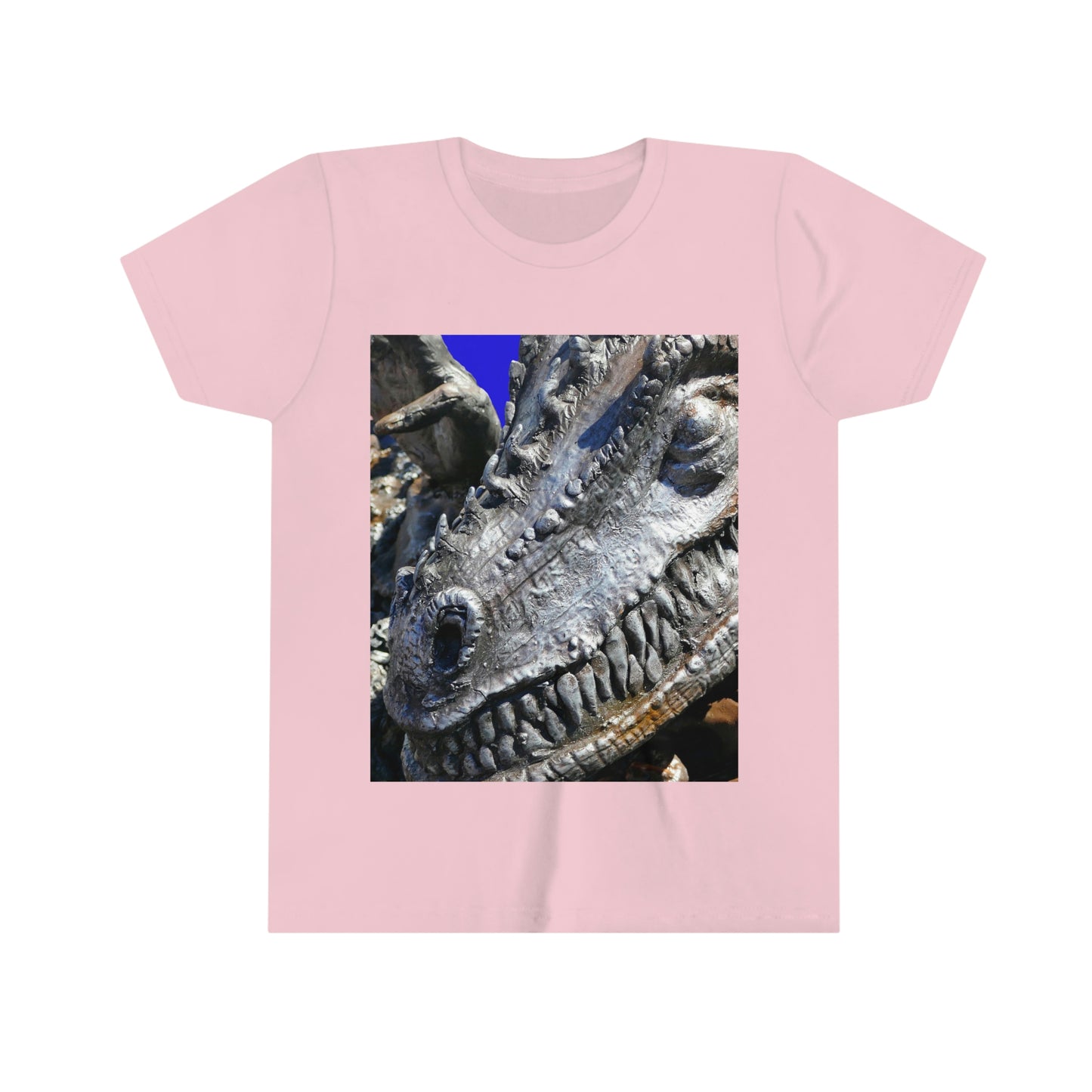 Delectable Vision - Youth Short Sleeve Tee - Fry1Productions