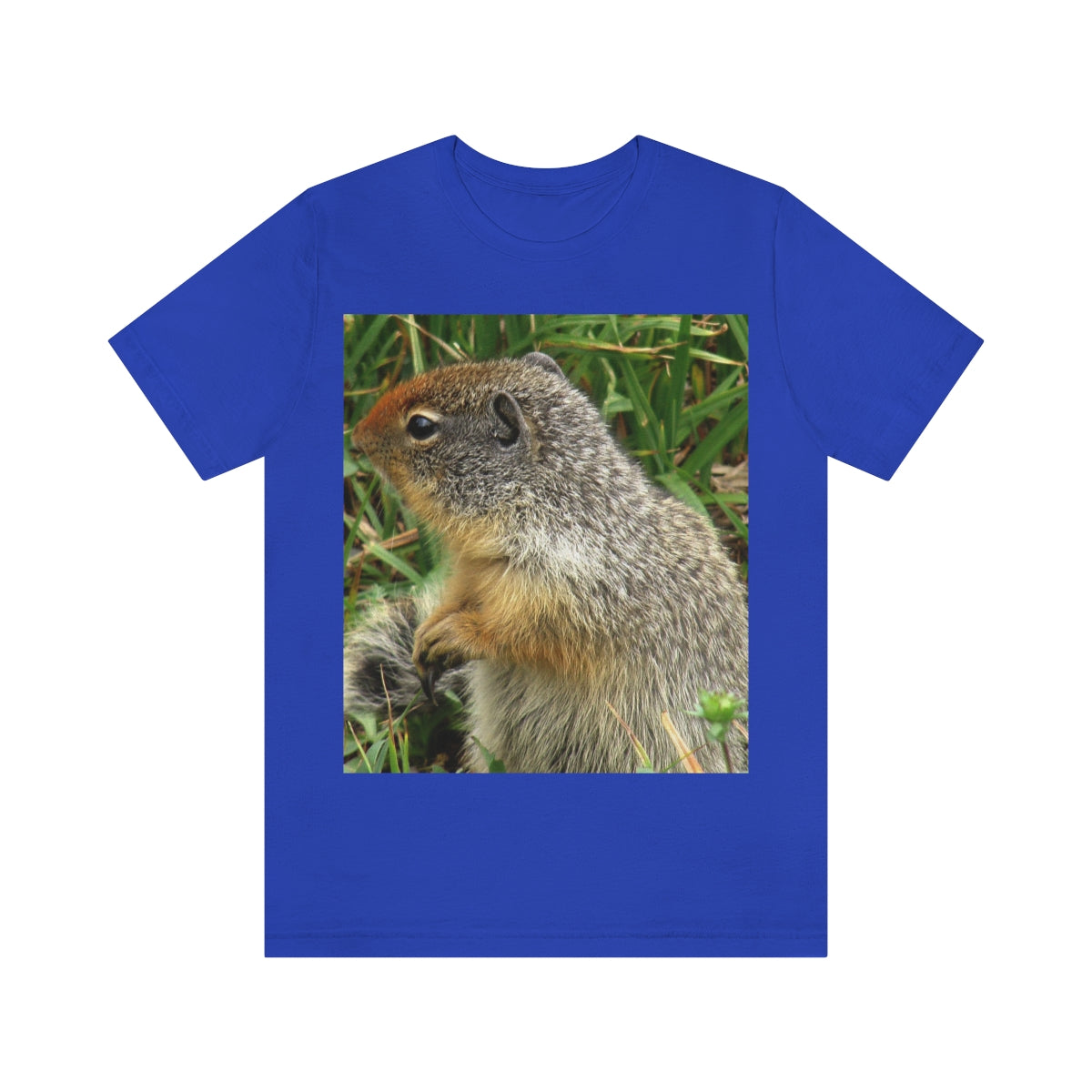 Inquisitive Stare - Unisex Jersey Short Sleeve T-Shirt - Fry1Productions