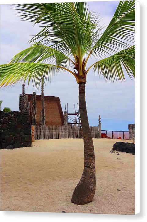 Florescence Hale O Keawe - Canvas Print - Fry1Productions