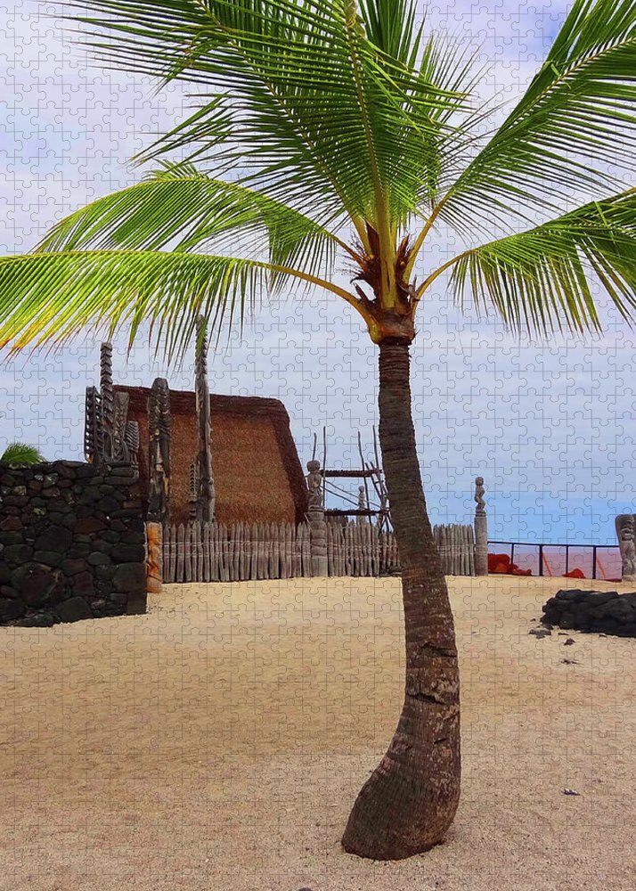 "Florescence Hale O Keawe" - Puzzle - Fry1Productions