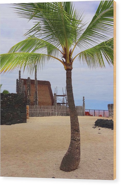 Florescence Hale O Keawe - Wood Print - Fry1Productions