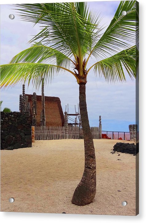 Florescence Hale O Keawe - Acrylic Print - Fry1Productions