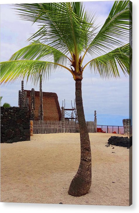 Florescence Hale O Keawe - Acrylic Print - Fry1Productions