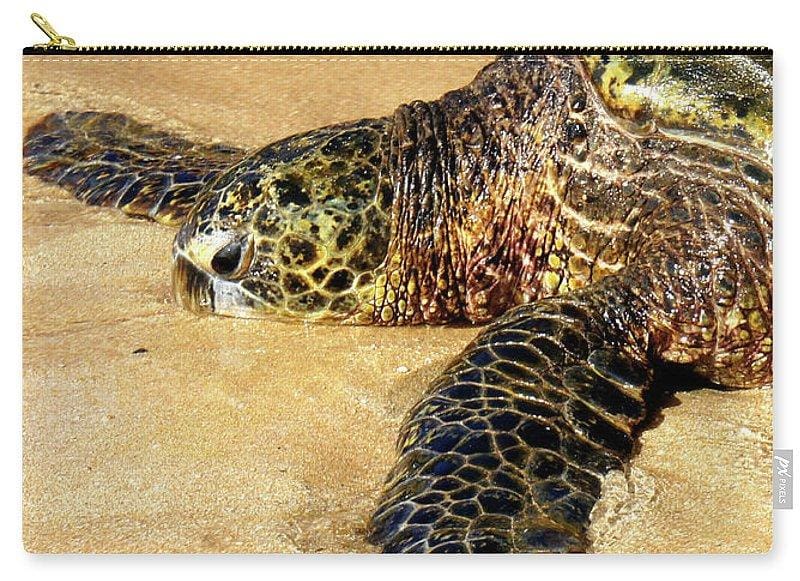 "Glistening Journey" - Carry-All Pouch - Fry1Productions