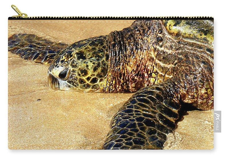 "Glistening Journey" - Carry-All Pouch - Fry1Productions