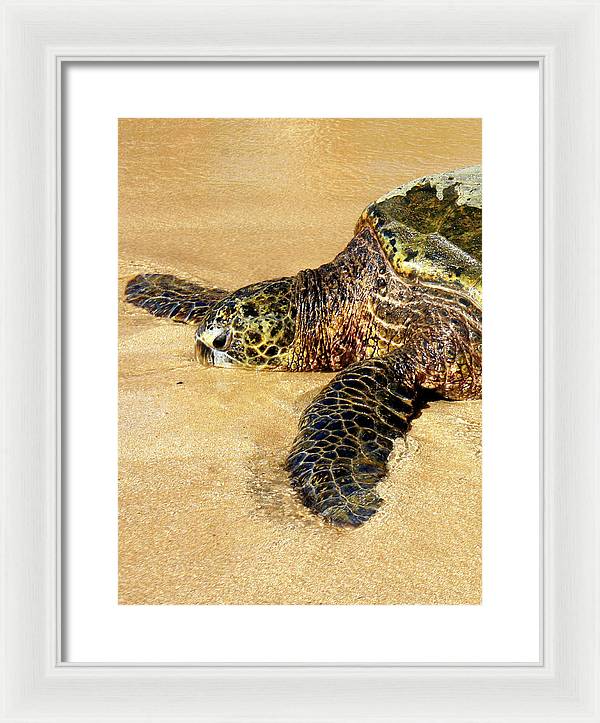 Glistening Journey - Framed Print - Fry1Productions