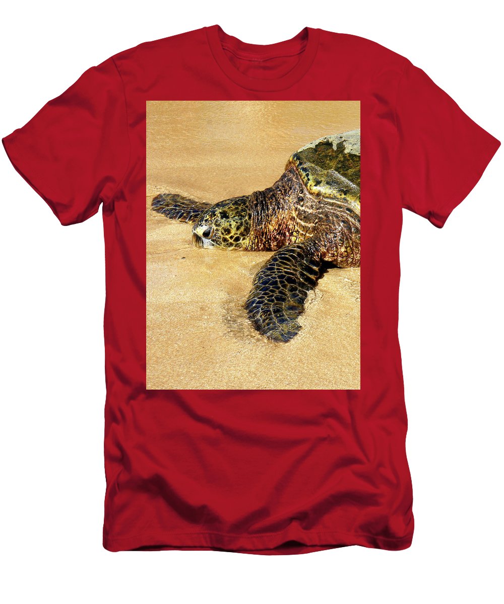 Glistening Journey - T-Shirt - Fry1Productions