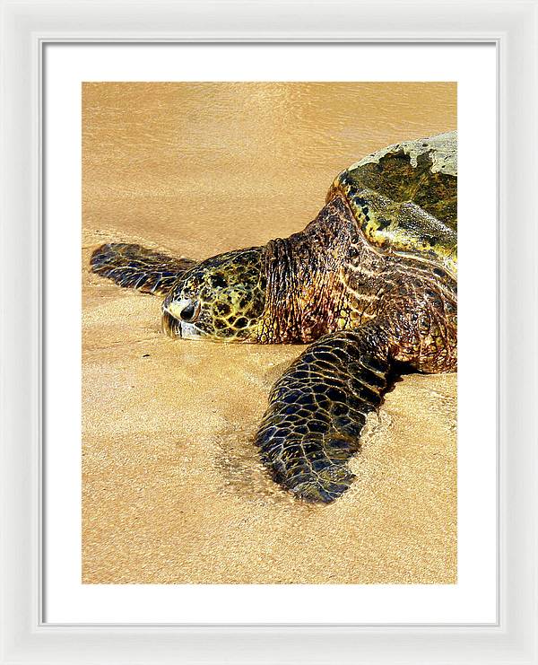 Glistening Journey - Framed Print - Fry1Productions