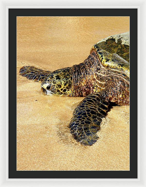 Glistening Journey - Framed Print - Fry1Productions