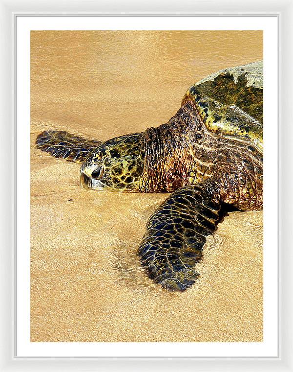 Glistening Journey - Framed Print - Fry1Productions