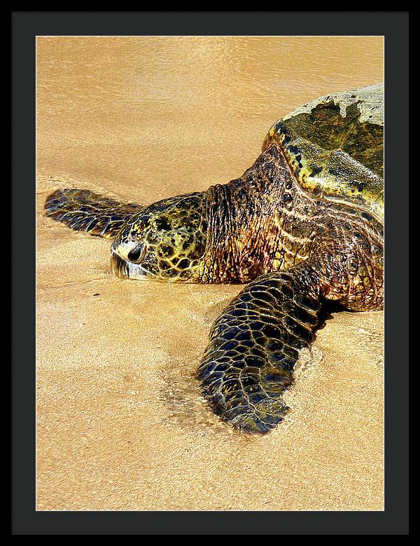 Glistening Journey - Framed Print - Fry1Productions