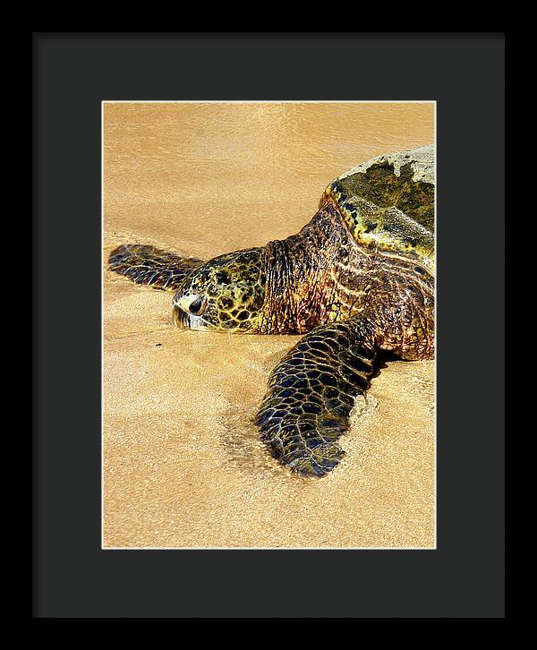 Glistening Journey - Framed Print - Fry1Productions