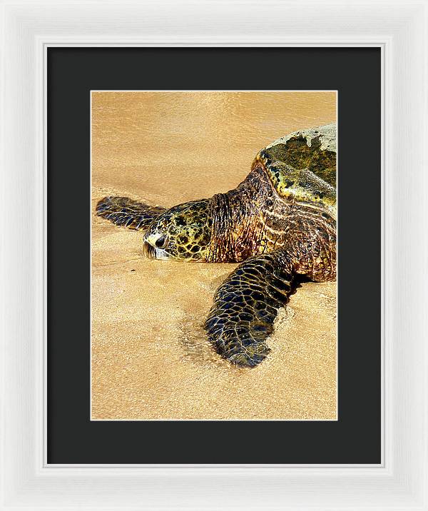 Glistening Journey - Framed Print - Fry1Productions