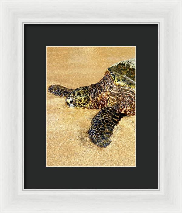 Glistening Journey - Framed Print - Fry1Productions