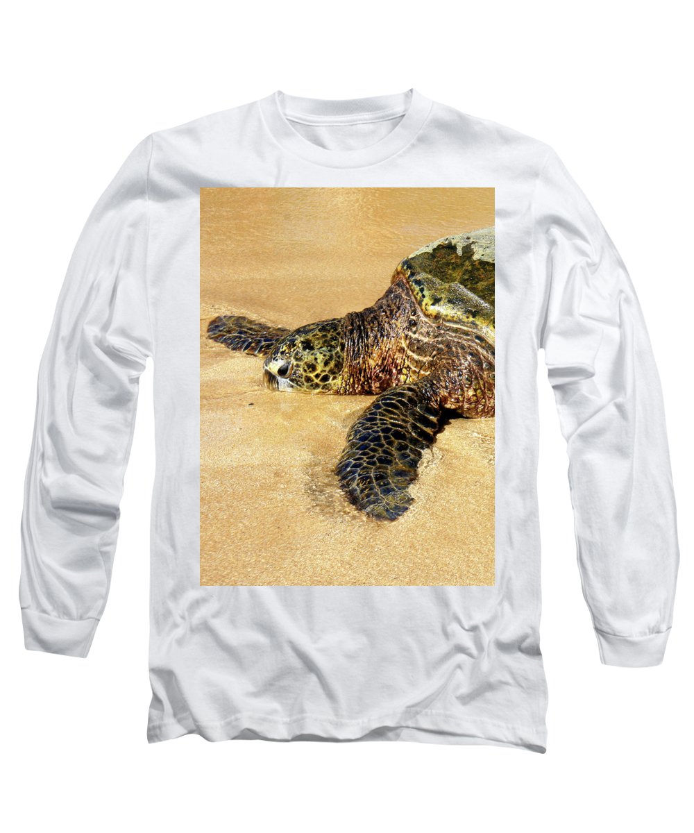Glistening Journey - Long Sleeve T-Shirt - Fry1Productions