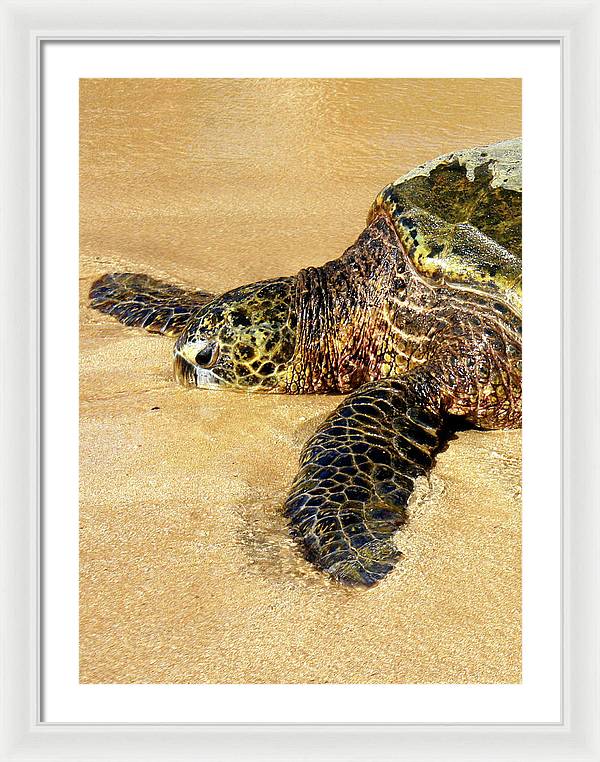 Glistening Journey - Framed Print - Fry1Productions