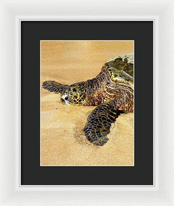 Glistening Journey - Framed Print - Fry1Productions