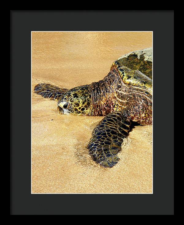 Glistening Journey - Framed Print - Fry1Productions