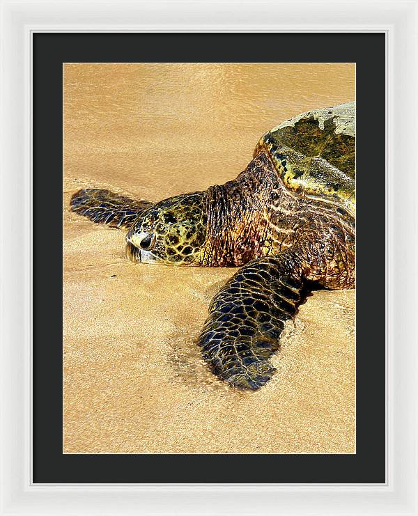 Glistening Journey - Framed Print - Fry1Productions