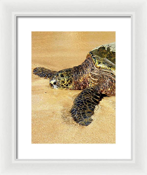 Glistening Journey - Framed Print - Fry1Productions