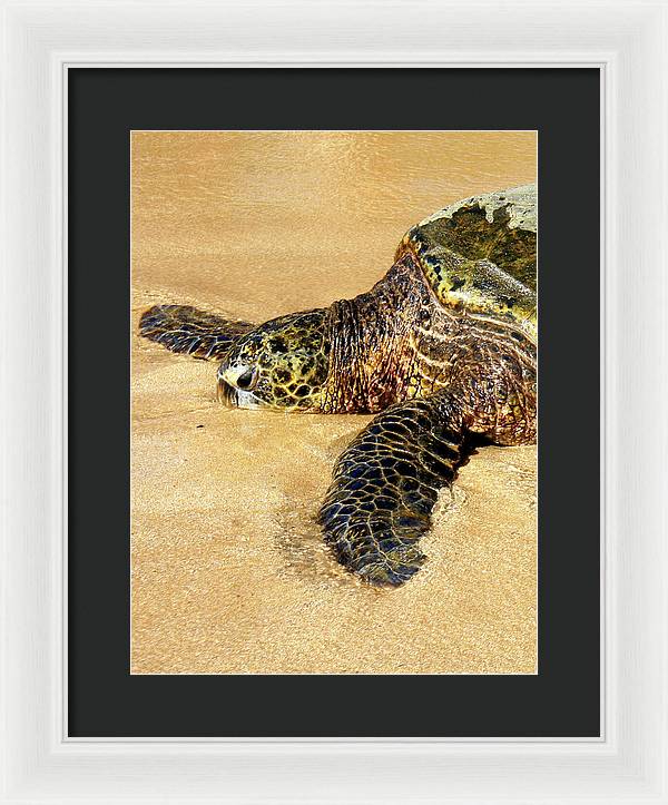 Glistening Journey - Framed Print - Fry1Productions