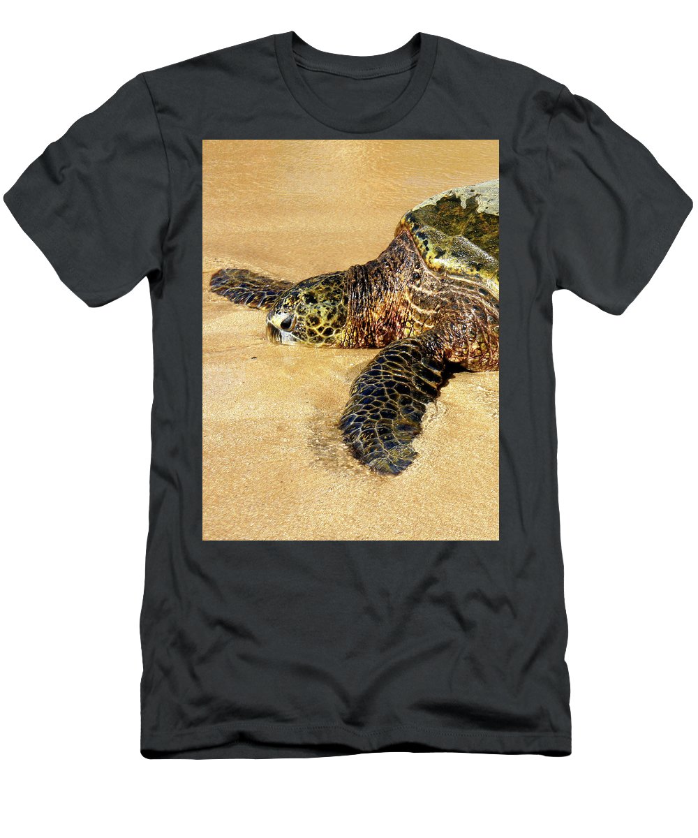 Glistening Journey - T-Shirt - Fry1Productions