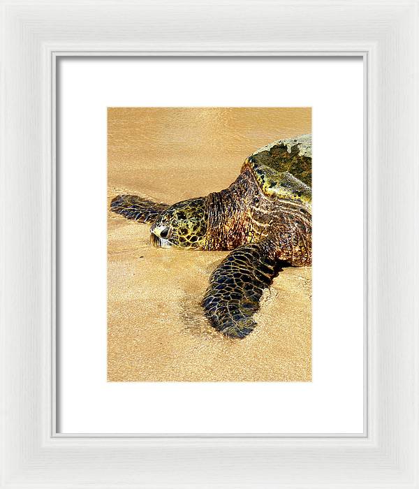 Glistening Journey - Framed Print - Fry1Productions