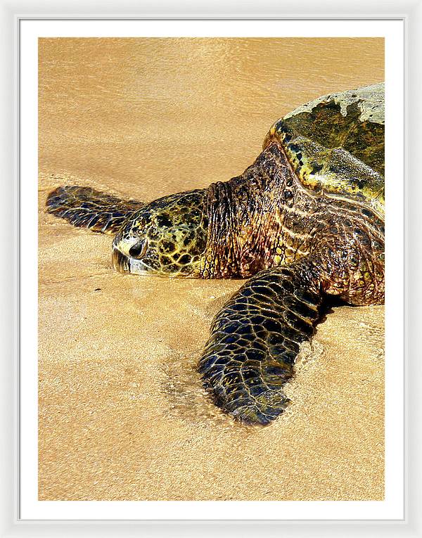 Glistening Journey - Framed Print - Fry1Productions