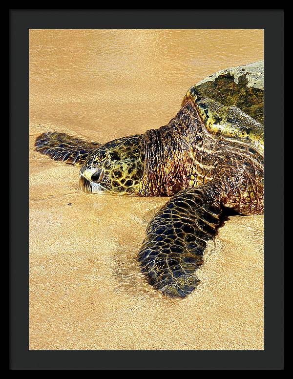 Glistening Journey - Framed Print - Fry1Productions