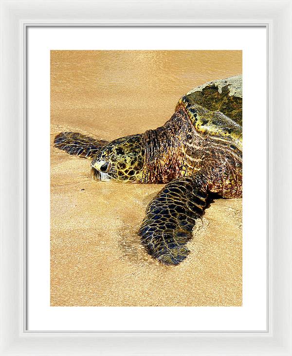 Glistening Journey - Framed Print - Fry1Productions