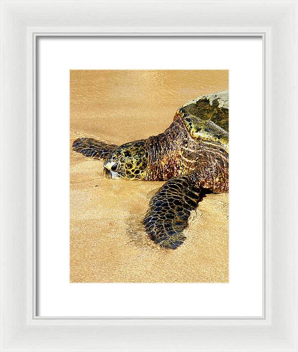 Glistening Journey - Framed Print - Fry1Productions