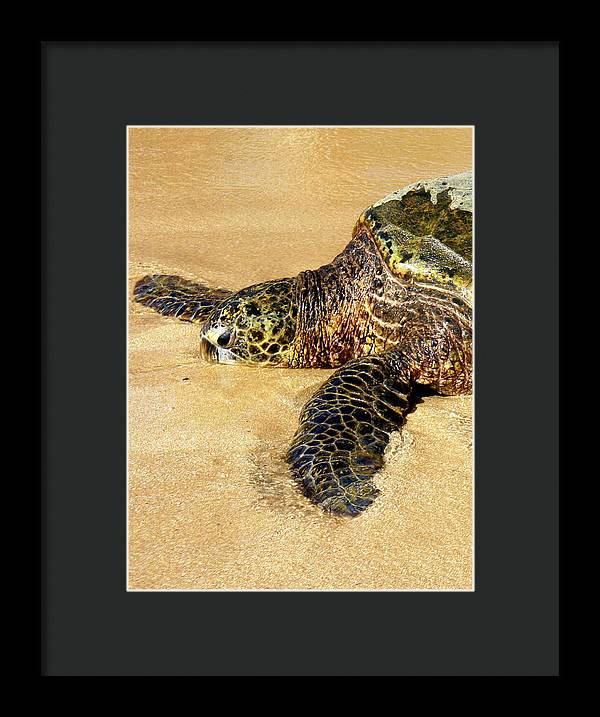 Glistening Journey - Framed Print - Fry1Productions