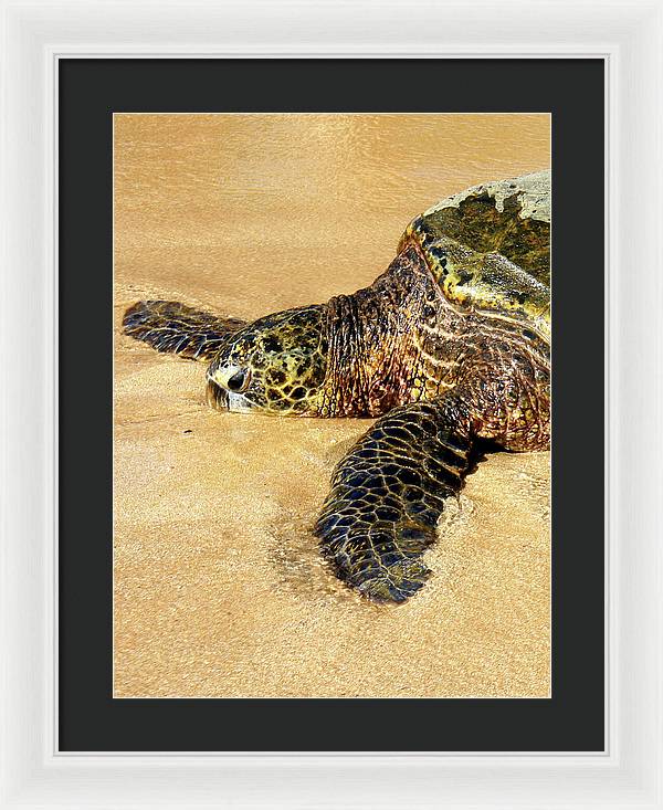 Glistening Journey - Framed Print - Fry1Productions