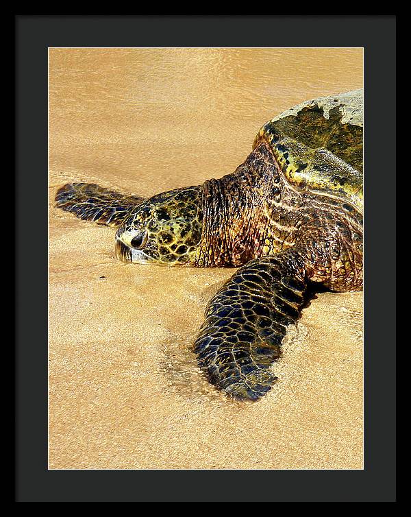 Glistening Journey - Framed Print - Fry1Productions