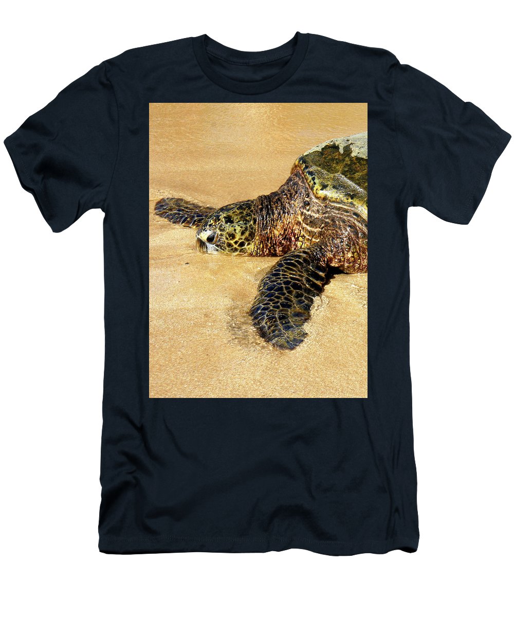 Glistening Journey - T-Shirt - Fry1Productions