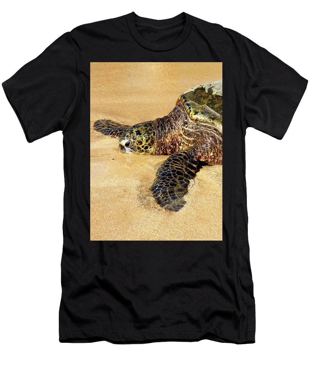 Glistening Journey - T-Shirt - Fry1Productions