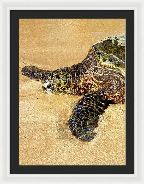 Glistening Journey - Framed Print - Fry1Productions