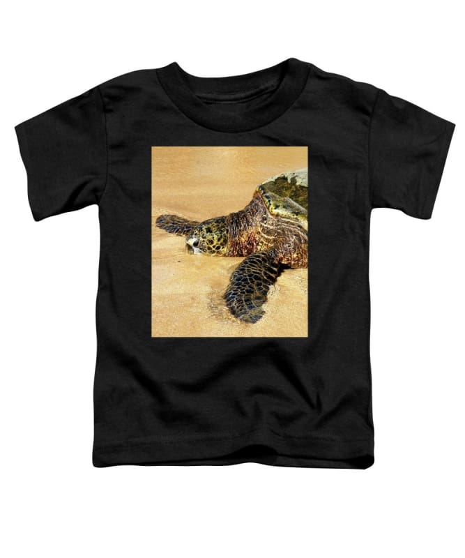 Glistening Journey - Toddler T-Shirt - Fry1Productions