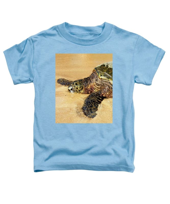 Glistening Journey - Toddler T-Shirt - Fry1Productions