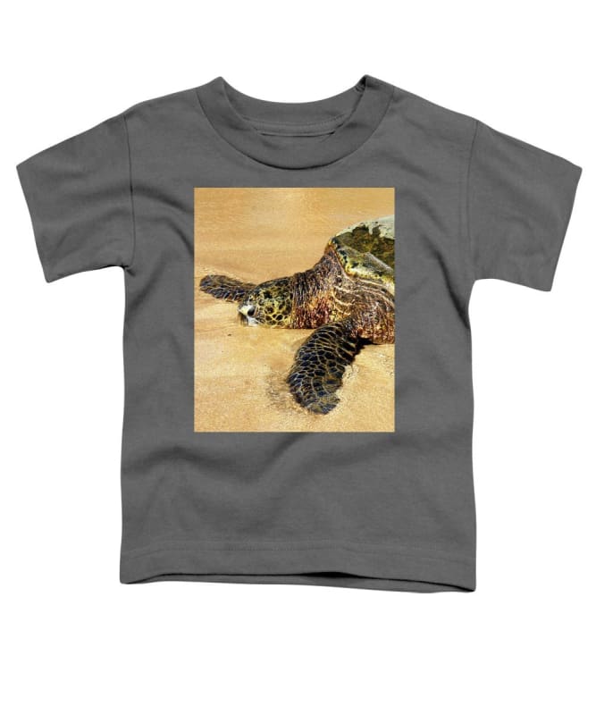 Glistening Journey - Toddler T-Shirt - Fry1Productions
