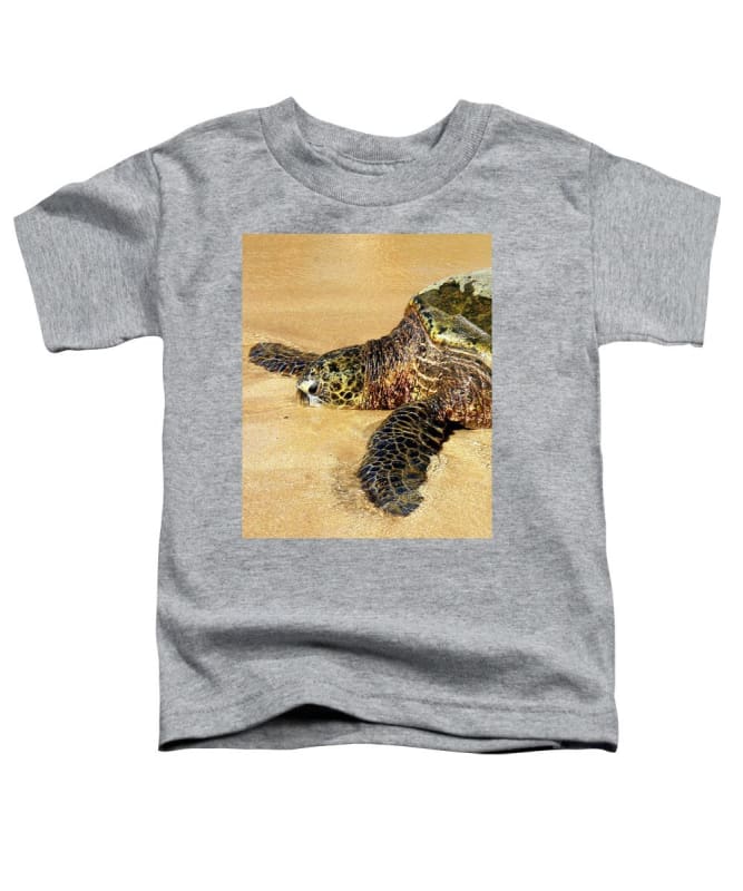 Glistening Journey - Toddler T-Shirt - Fry1Productions