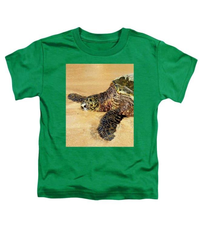 Glistening Journey - Toddler T-Shirt - Fry1Productions